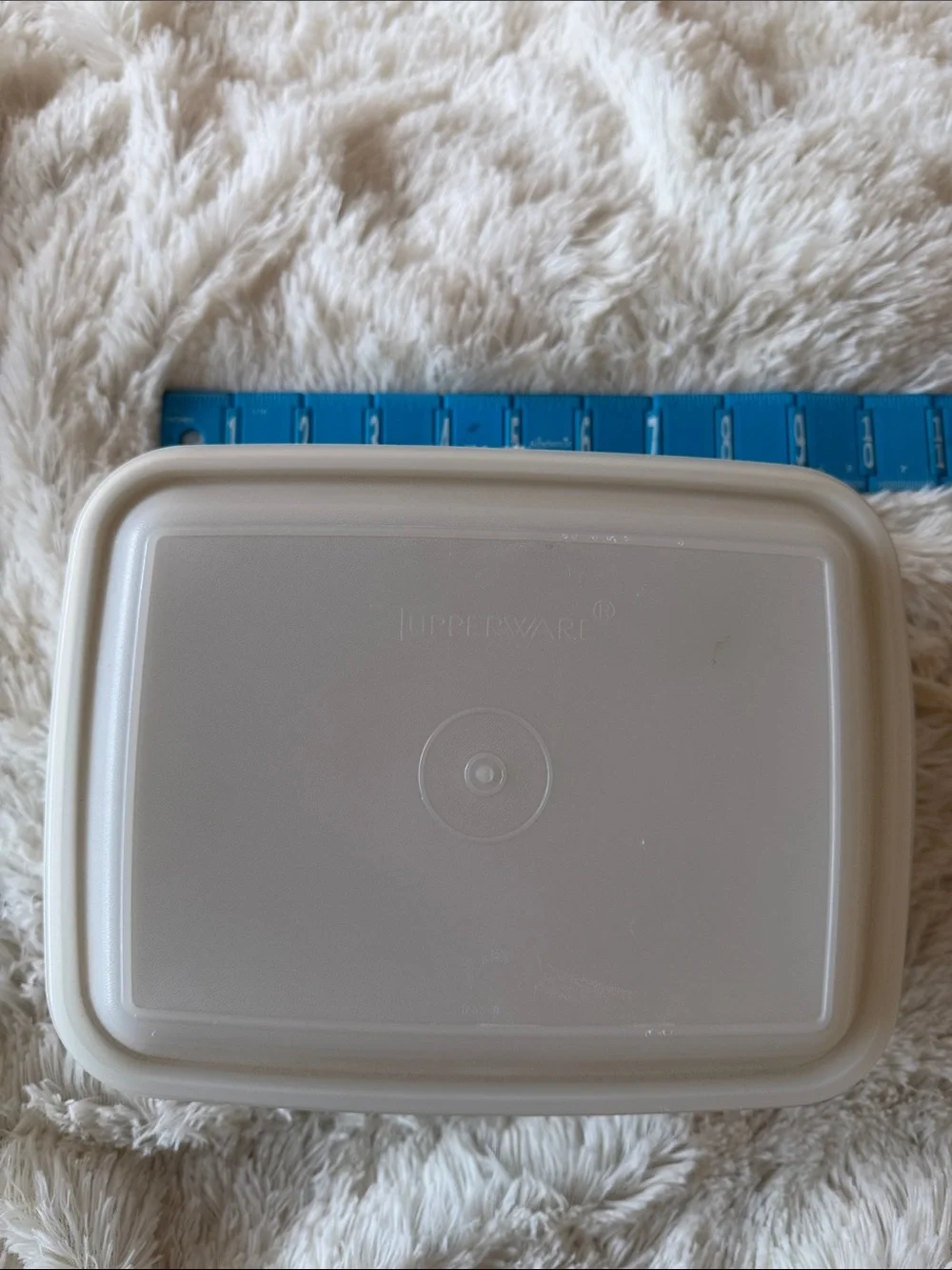 Tupperware Vintage ice cream keeper